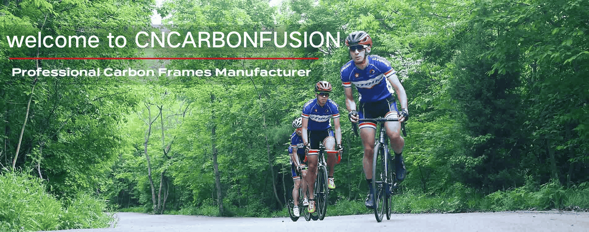 carbon bike frame manufacturer